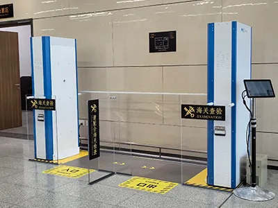 Таможенный и пограничный контроль